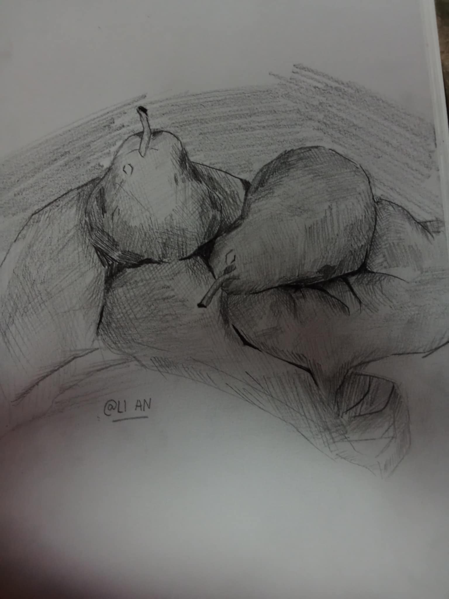 Charcoal Drawing